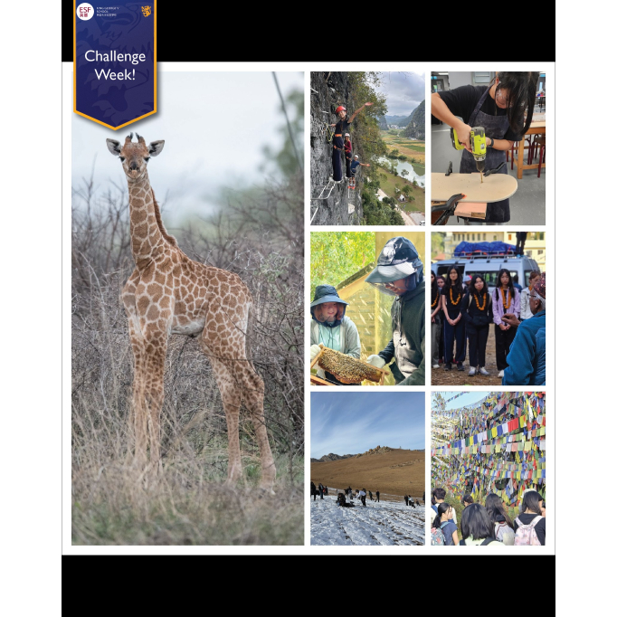 577026822_1399087042224266_4566968827051344432_n