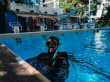 CAS Week 2023 - Scuba Diving Photos @ KGV Pool - 01-11-2023 - JPEG FULL SIZE_006