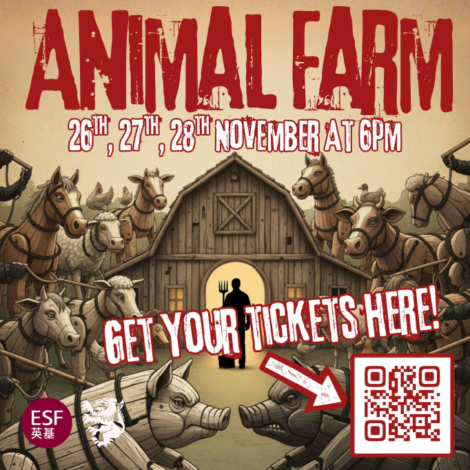 583264149_1408889627910674_2341578480531627902_n